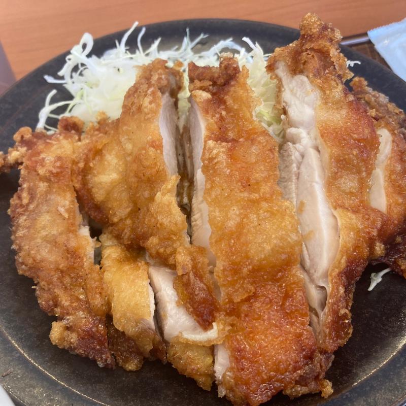 大判から揚げ定食(から好し 草津店)