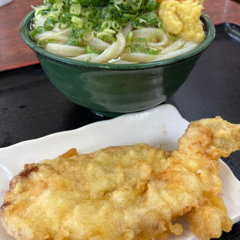 ひやかけ（中）(手打ちうどん つよ志)