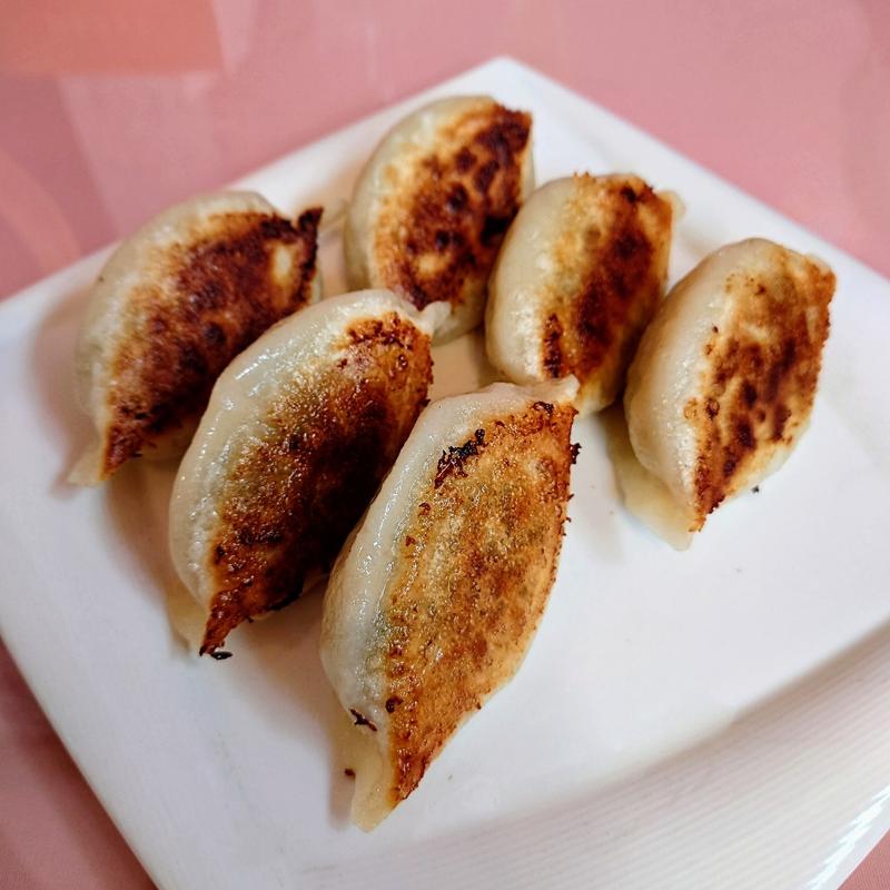 ジャンボ焼餃子定食(福龍餃子館)