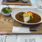 二種合いがけカレー