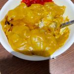 ミニカレーライス