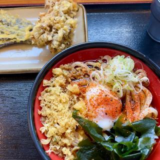 冷やしたぬきうどん(高柳屋 )
