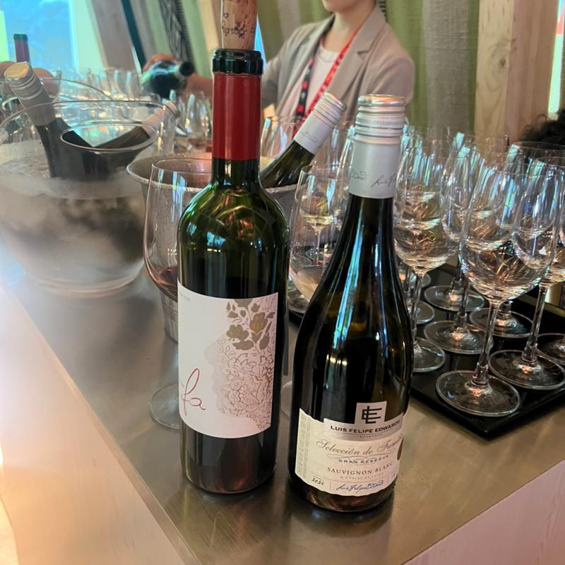 クロ・デ・ファ ヴィニャ・マーティ 2020年 チリ マイポ・ヴァレー 赤ワイン (2025年日本国際博覧会（大阪・関西万博）会場)