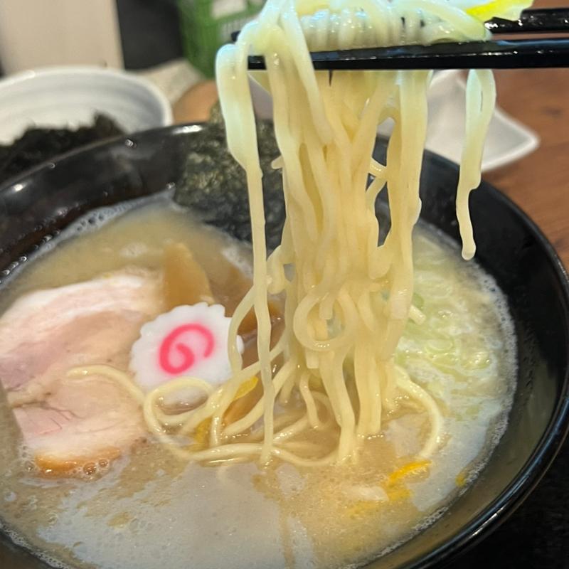 塩特製ラーメン(麺処とらたま)