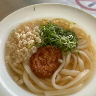 かけうどん(やぶ金 桜島フェリー店 )