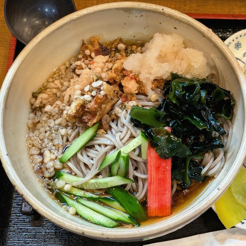 冷やしたぬきそば(盛好)