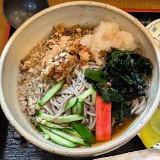 冷やしたぬきそば(盛好)