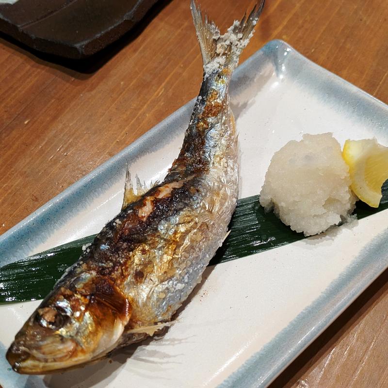 大トロいわし(炭火屋台居酒屋 えんがわ武蔵小杉)
