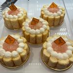 シャルロットペッシュ(フライングボード)