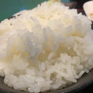 肉野菜炒めセット