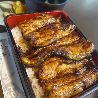 鰻重 大 一匹半(さくめ )