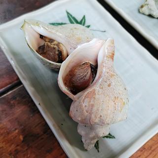 青ツブ(炉ばたカニ鮮 )