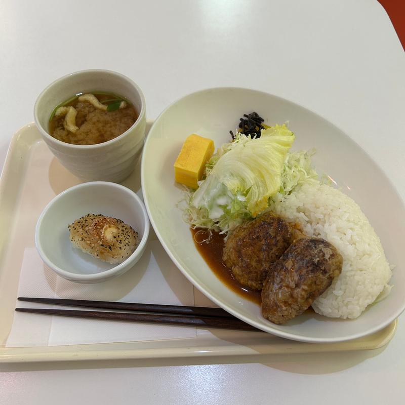 ハンバーグプレート(シイナノゴハン)