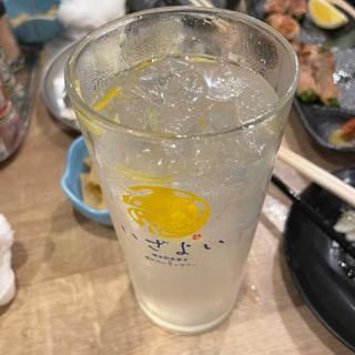 いざよいレモンサワー(居酒屋 いざよい)