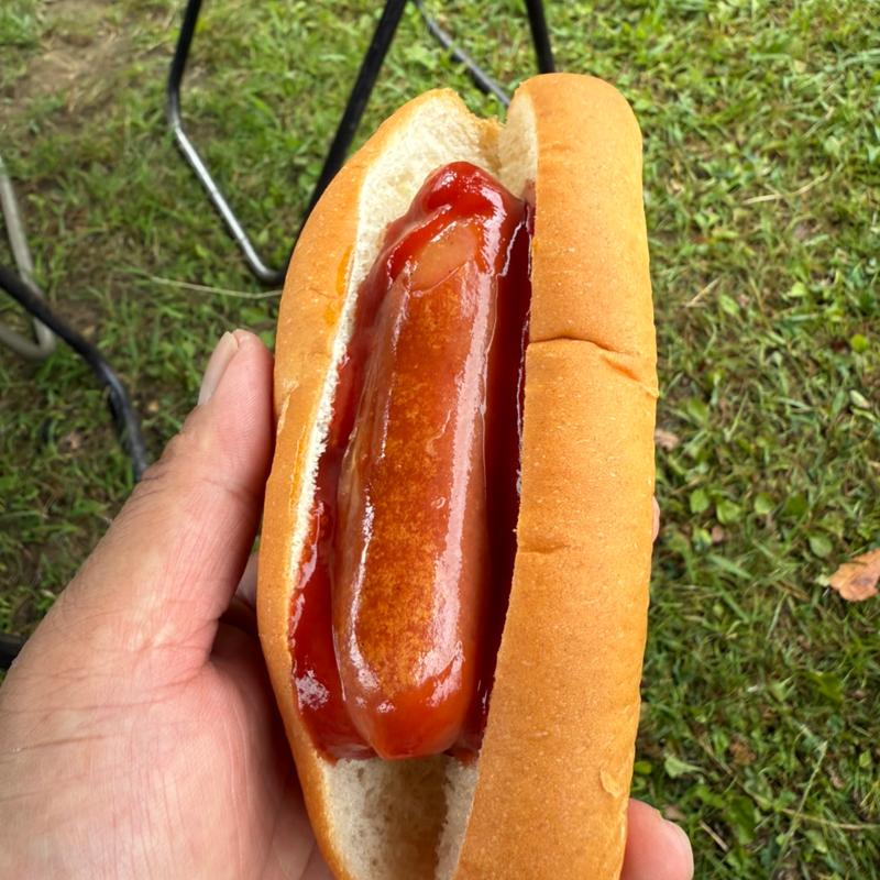 ホットドック(瀬崎山王公園)