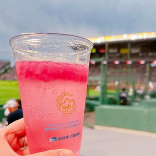 巨峰チューハイ(阪神甲子園球場 )