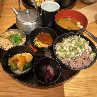 (chano-ma 池袋)