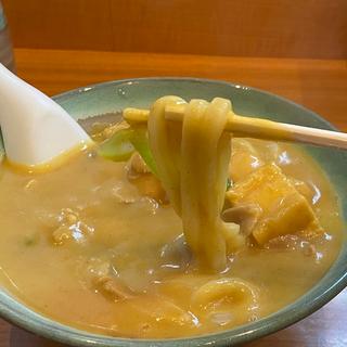 特製カレーうどん