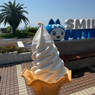 ミルクソフトクリーム