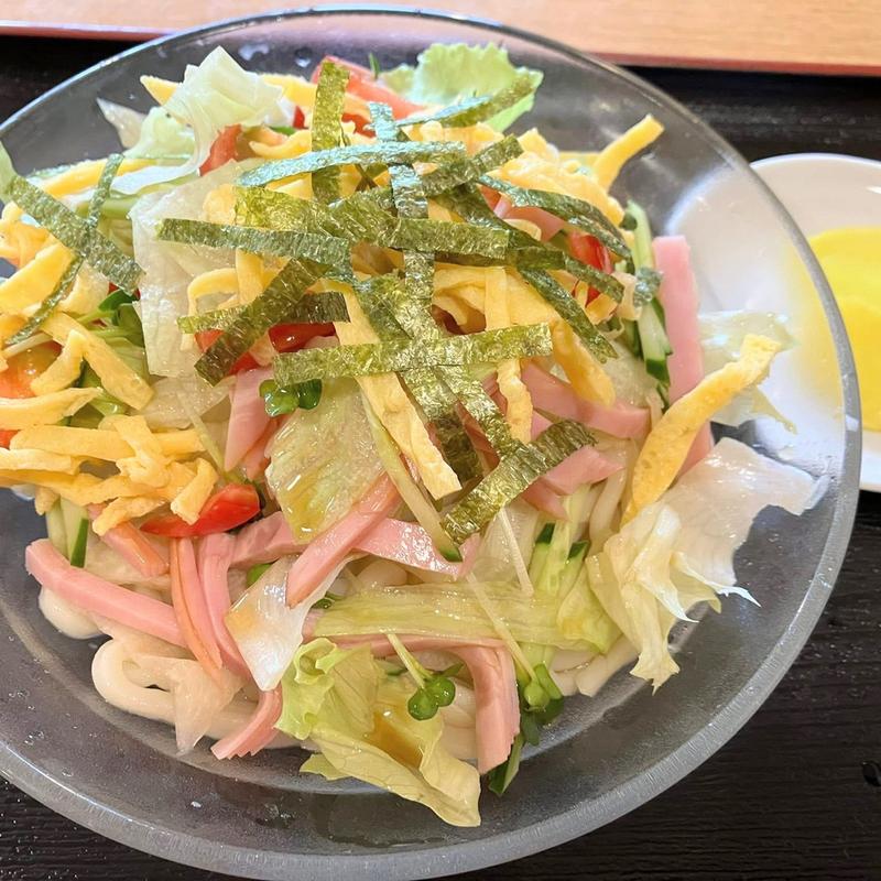 冷やしサラダうどん(赤ひょうたん)