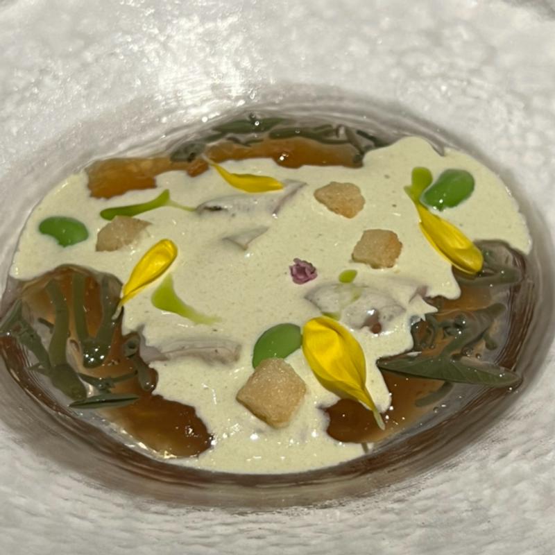 湘南始とビーフコンソメのジュレ ジュンサイと枝豆大葉クリームのアクセント(メインダイニングルーム ル・トリアノン)