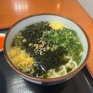 四万十産 海苔ノリうどん(手打ち一本 まさ屋)