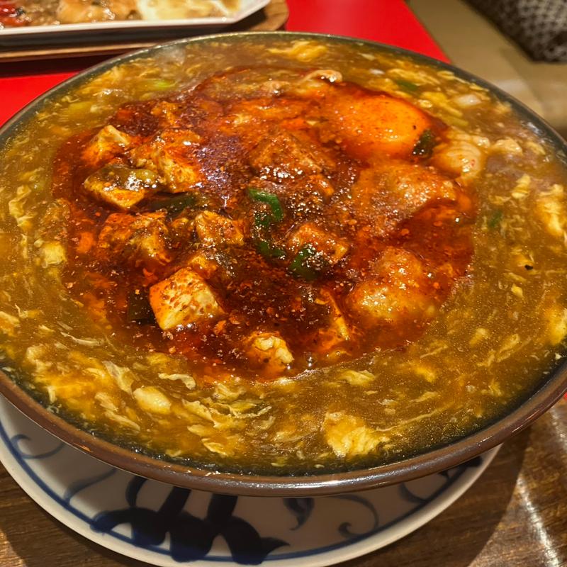 陳麻婆酸辣ヂャン麺(陳麻婆豆腐 小吃館 ぷらりと京王府中)