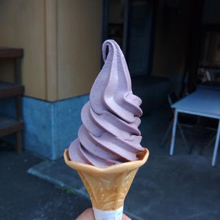 ブルーベリーソフトクリーム