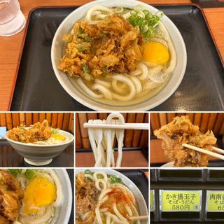 かき揚げ玉子うどん