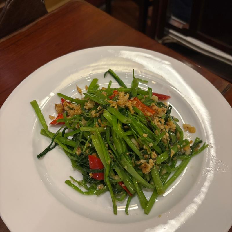 モーニンググローリー(Miss Ly)