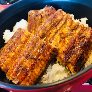 鰻丼 松(うなぎ専門店 万のせ)