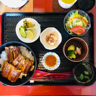 鰻丼 松