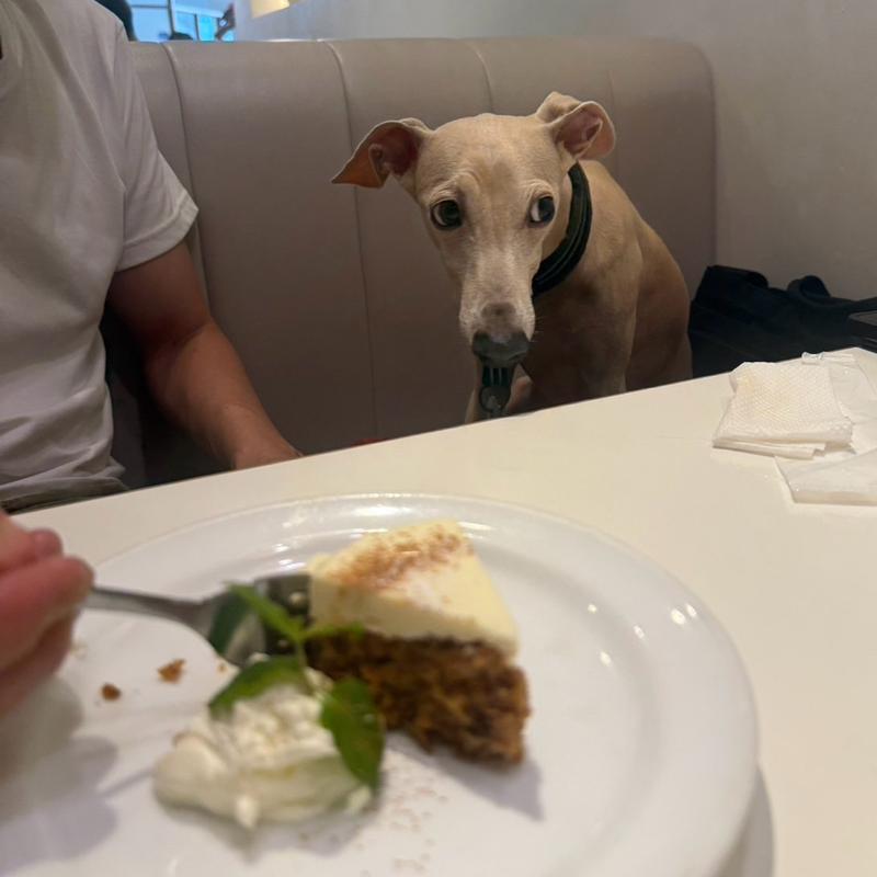 (MID ミッドダイニング)