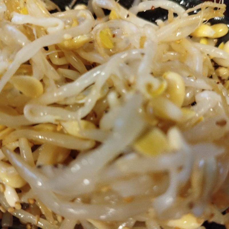 もやしナムル(炭火焼肉ホルモン みなみ)