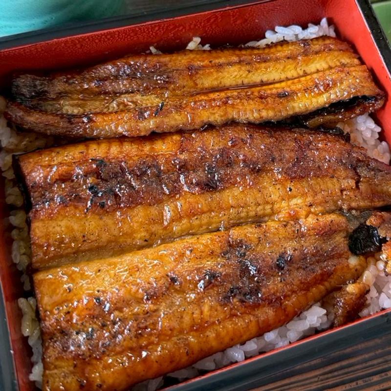 うな重　天然(四万十屋)