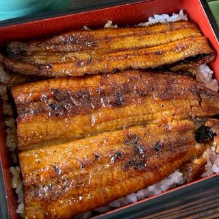 うな重　天然