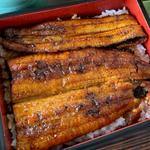 うな重　天然