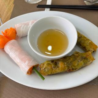 生春巻きと揚げ春巻き