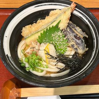 柚子の冷かけ天ぷらうどん(自家製麺 杵屋 草津近鉄百貨店)