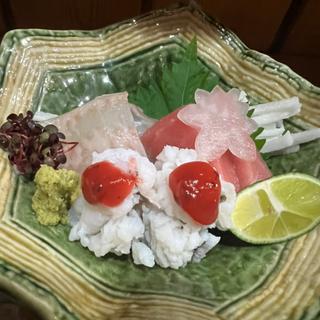 刺身盛り合わせ