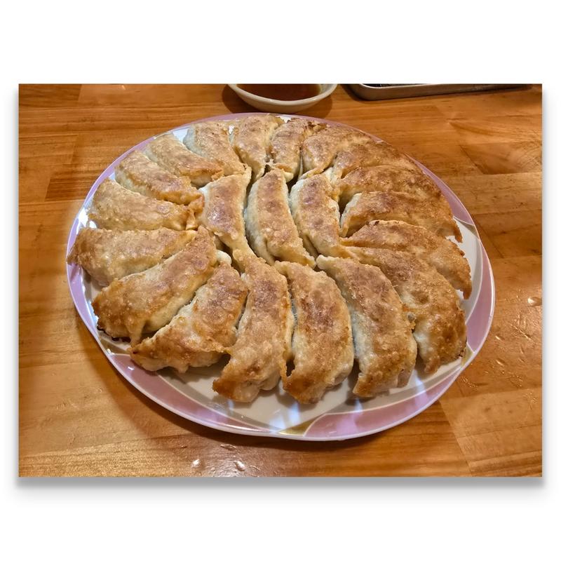 円盤餃子(餃子・ラーメンおがた)