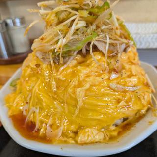 ピリ辛ネギオム肉チャーハン(中華屋蛸井)