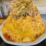 ピリ辛ネギオム肉チャーハン