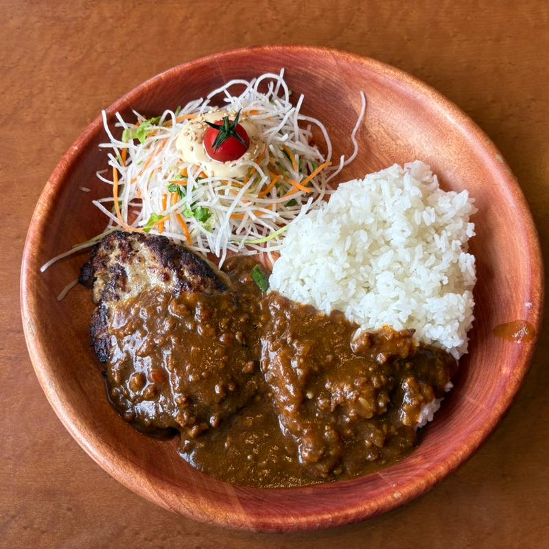 カリーバーグディッシュ S(びっくりドンキー足立東和店)