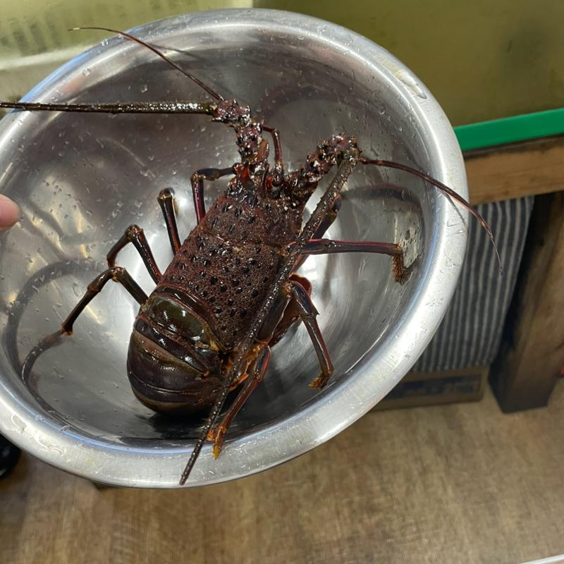 伊勢海老(太平洋 ＪＲ鳥羽駅前支店)