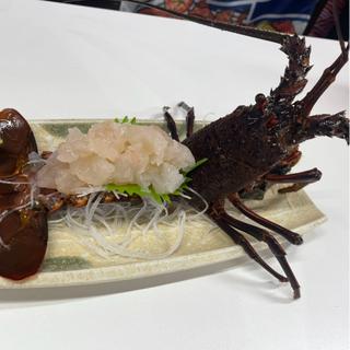 伊勢海老お造り