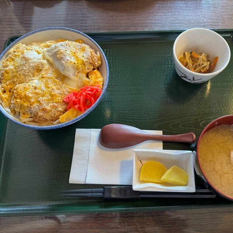 ヒレかつ丼(おいしんぼ )