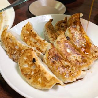 馬さん名物黒豚大餃子(馬さん餃子酒場 神保町店)