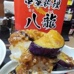 冷やし中華＋ミニなす丼