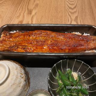 一本重